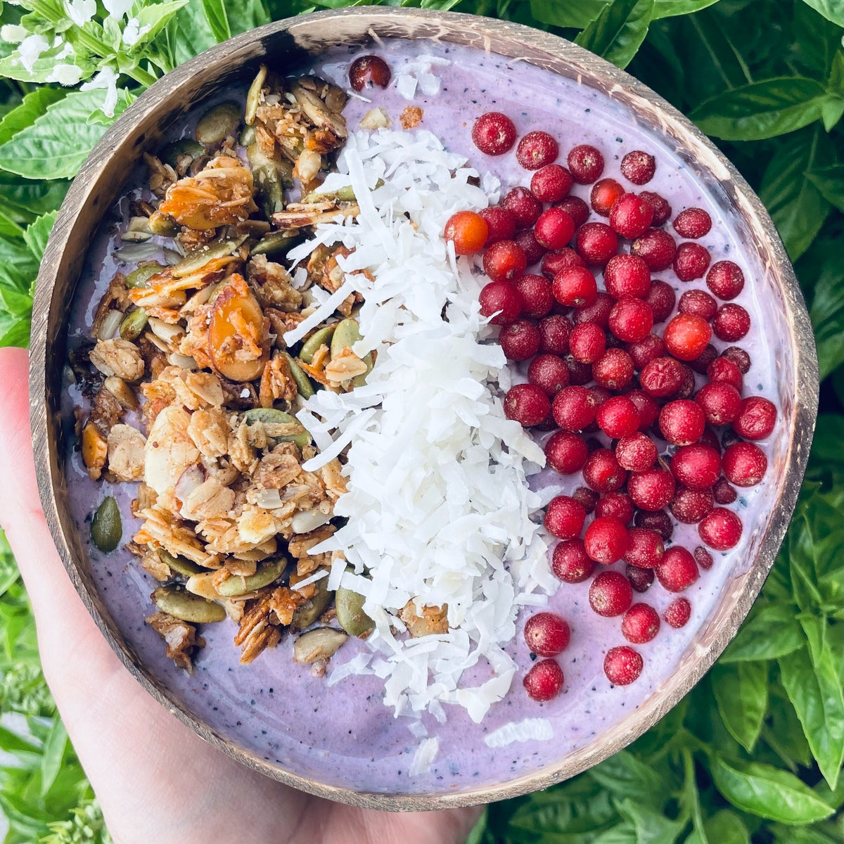 Chai Spiced granola on top of mixed berry smoothie bowl with autumn olive and coconut
